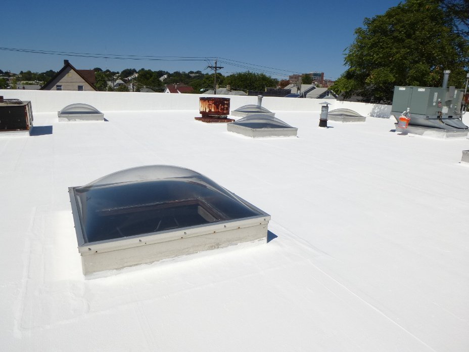 Maintaining a Waterproof Roof