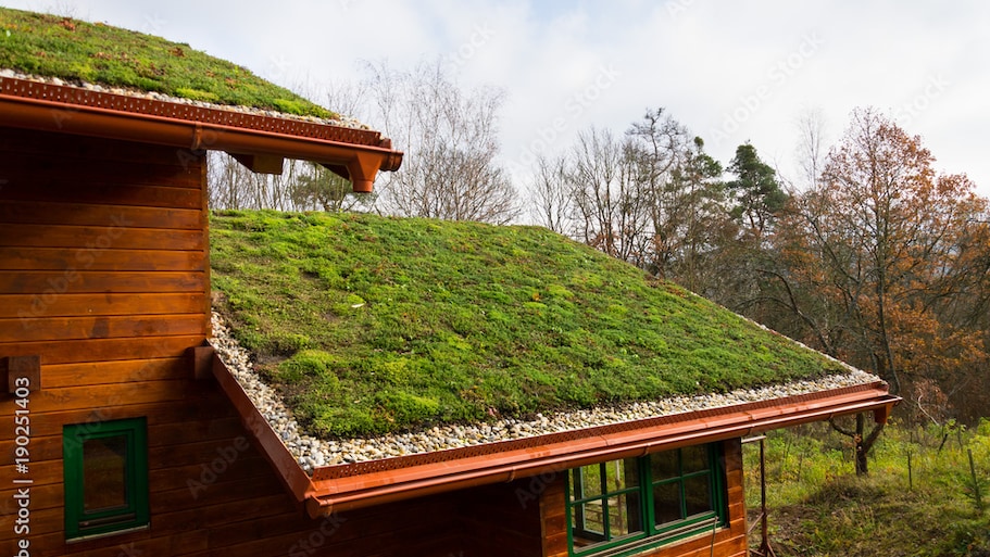 Budget-Friendly Roofing Materials for Houses