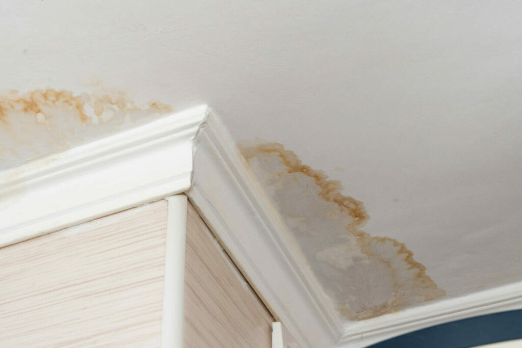 Roof Leak Emergency: Exploring the Role of Homeowners Insurance