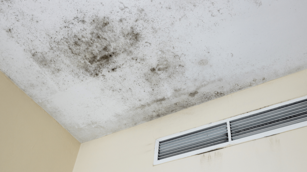 The Hidden Dangers of Roof Leaks